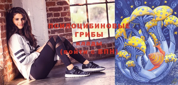 винт Армянск
