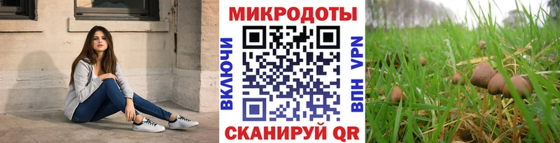 Псилоцибиновые грибы GOLDEN TEACHER  как найти закладки  Качканар 